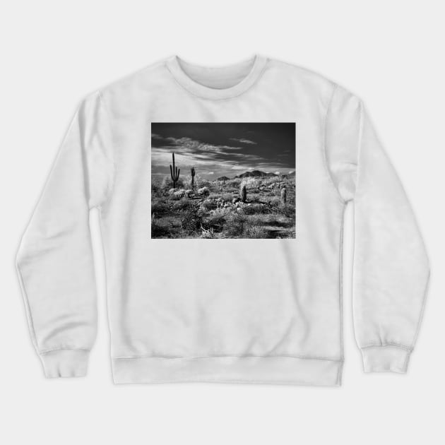 McDowell Sonoran Preserve, Scotsdale Arizona Crewneck Sweatshirt by rodneyj46